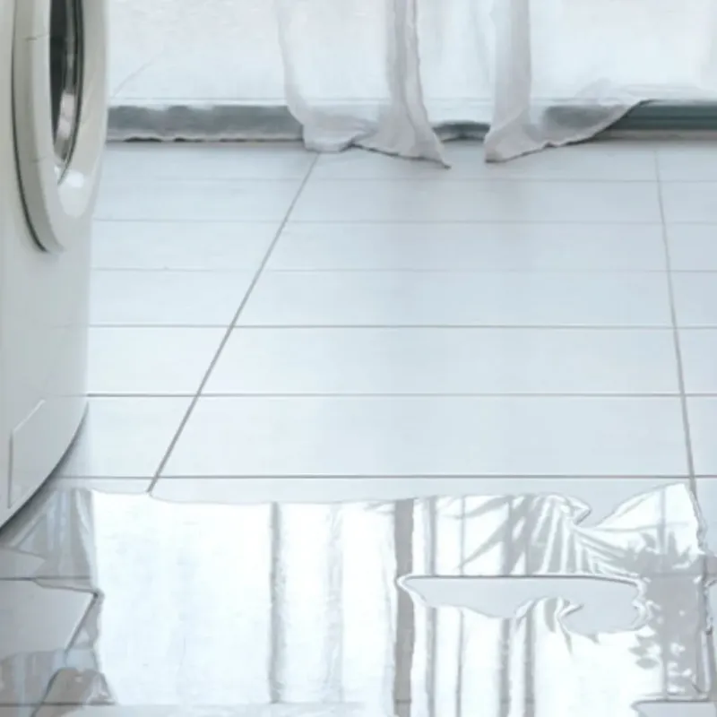 Appliance Leak Cleanup in Montgomery, MN