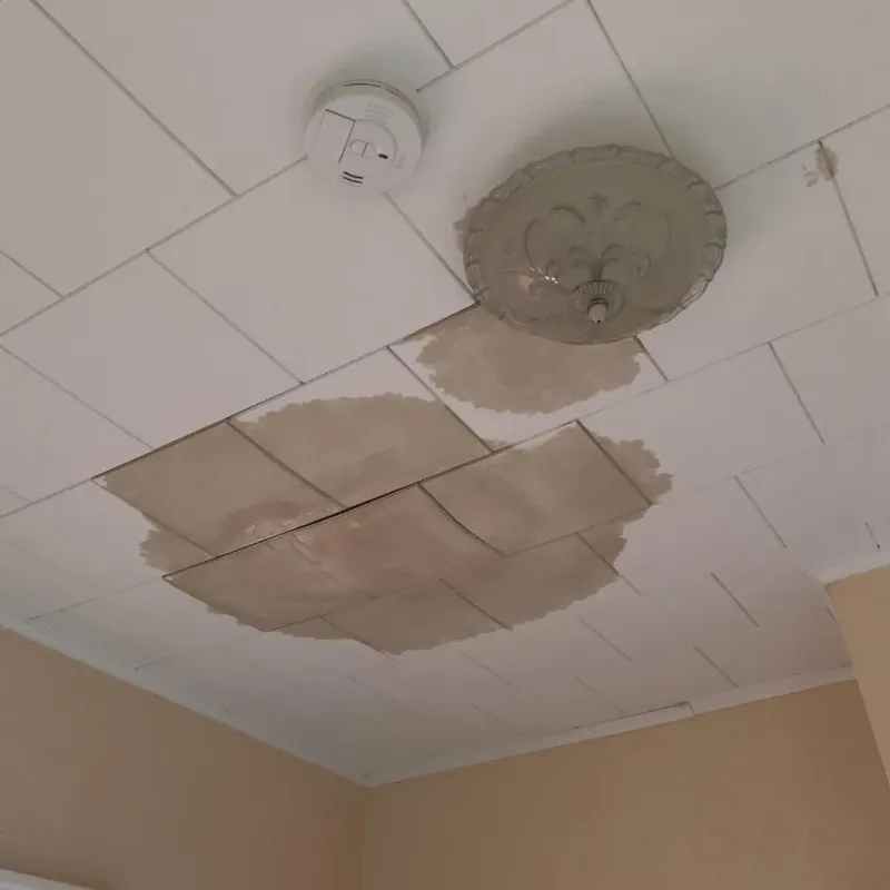 Ceiling Water Damage Repair in Montgomery, MN