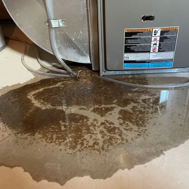 Pipe Burst and Leak Restoration in Montgomery, MN